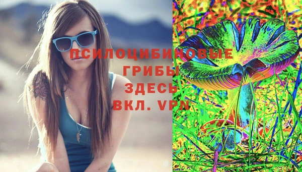 СК Краснослободск