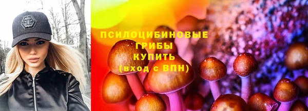 СК Краснослободск
